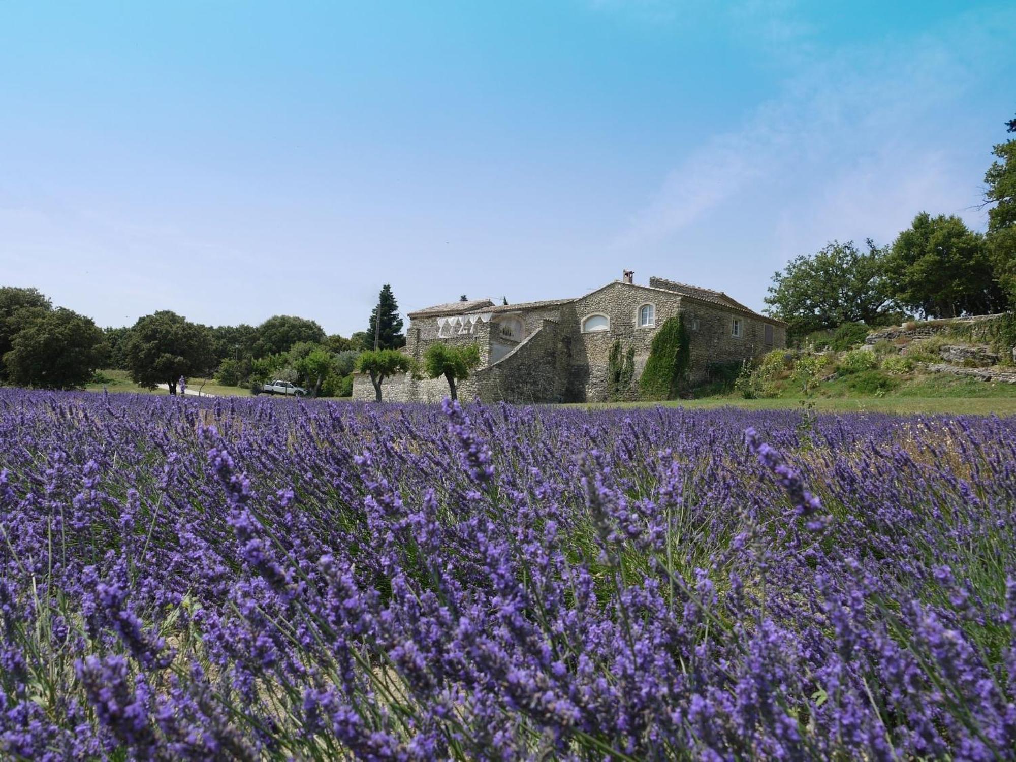La Ferme Les Eybrachas Hotel Réauville Eksteriør billede